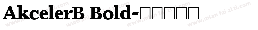 AkcelerB Bold字体转换